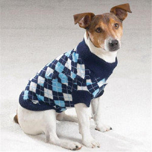 Why Your Pet Deserves a Cozy Sweater