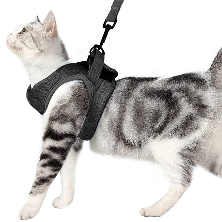 Experience the Freedom of Adventure with Our Breathable Lightweight Pet Lace Rope Chest Strap Leash